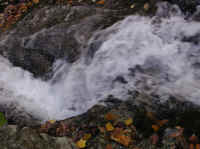 Crabtree Falls - 3 Nov 2005 - 013