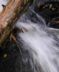 Crabtree Falls - 3 Nov 2005 - 018