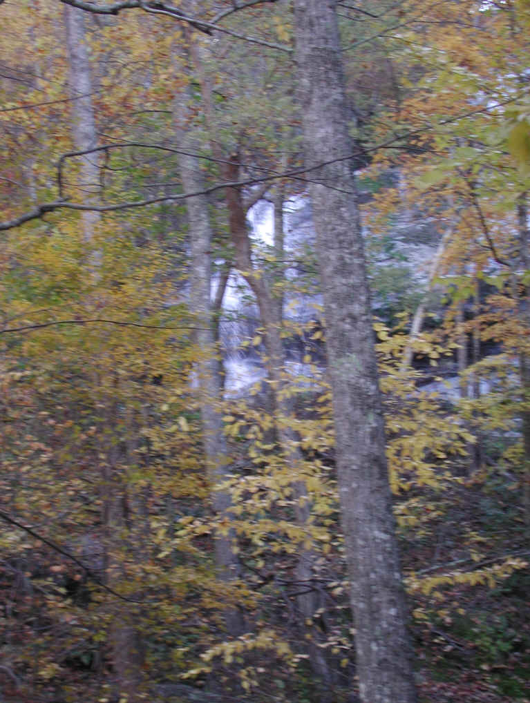Crabtree Falls - George Washington National Forest - 3 Nov 2005 - 030