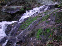 Crabtree Falls - 3 Nov 2005 - 061