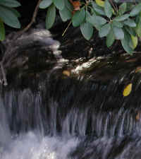 Crabtree Falls - 3 Nov 2005 - 069a