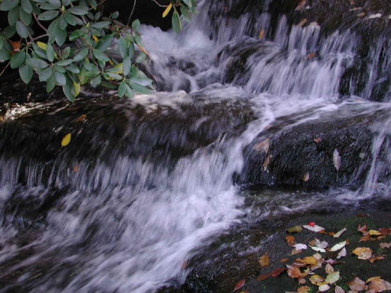Crabtree Falls - George Washington National Forest - 3 Nov 2005 - 070