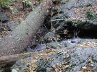 Crabtree Falls - 3 Nov 2005 - 090
