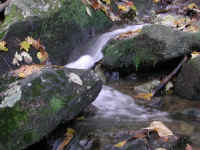 Crabtree Falls - 3 Nov 2005 - 091