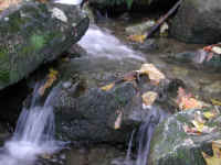 Crabtree Falls - 3 Nov 2005 - 092