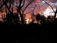 sunrise-20061202-22