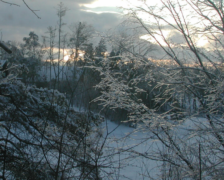 sunrise-20110120-01a