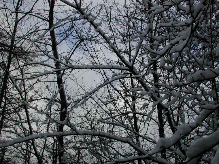 wi-2003-snow-4feb04-03