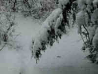 wi-2003-snow-4feb04-04