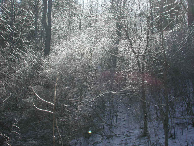Water and Ice - Freezing Rain - 6 Jan 2004 - 03