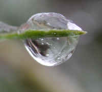 Freezing Rain - April 2003 - 02