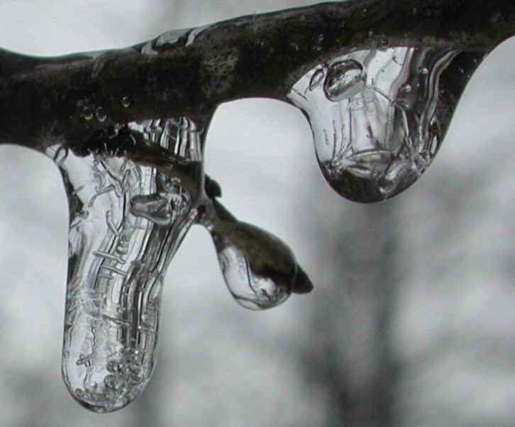 Water and Ice - Freezing Rain - January 2003 - 03b