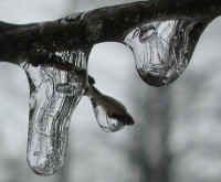 Freezing Rain - January 2003 - 03b