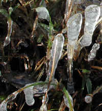 Ice - 3 December 2003 - 07b