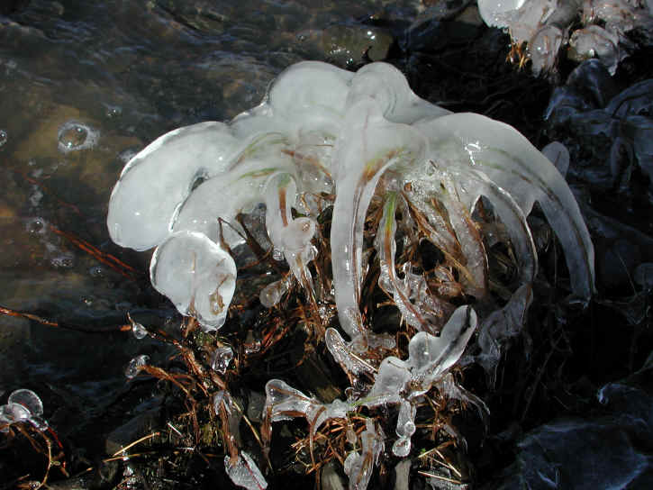 Water and Ice - Ice - 3 December 03 - 08