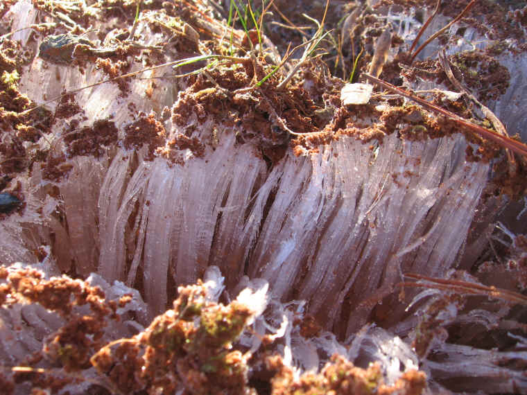 Water and Ice - Ice - "Grass" 2007 - 03