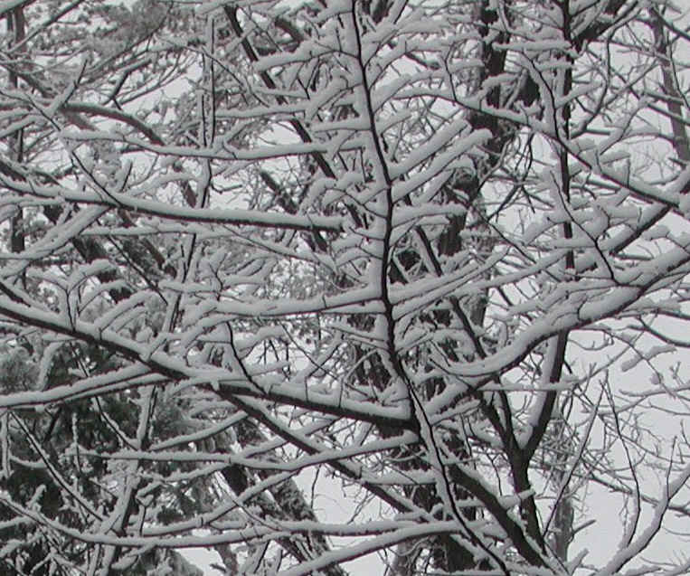 wi-snow-20071220-12a