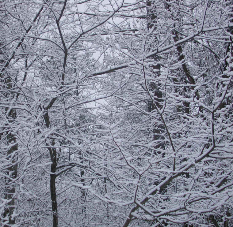 wi-snow-20071220-24