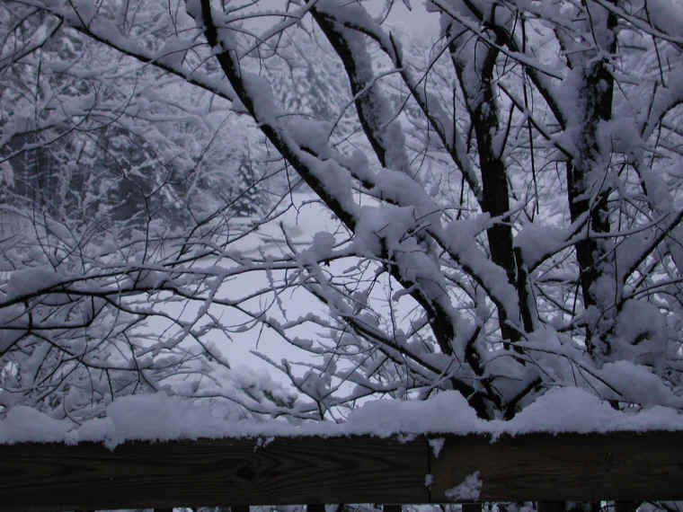 wi-snow-20071231-08