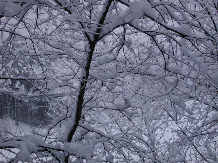 wi-snow-20071231-10