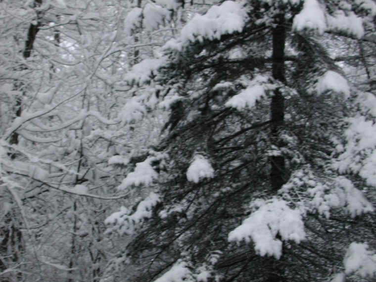 wi-snow-20071231-11