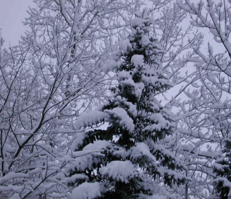 wi-snow-20071231-12