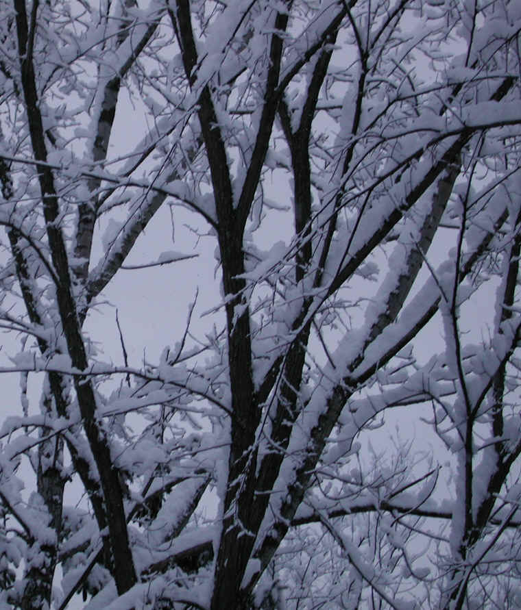 wi-snow-20071231-14