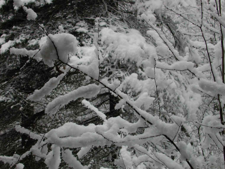 wi-snow-20071231-18