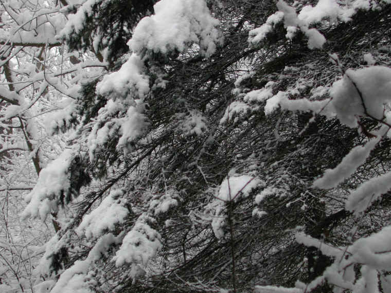 wi-snow-20071231-23
