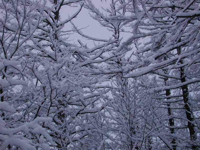 wi-snow-20071231-26