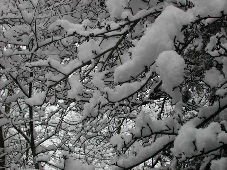 wi-snow-20071231-31