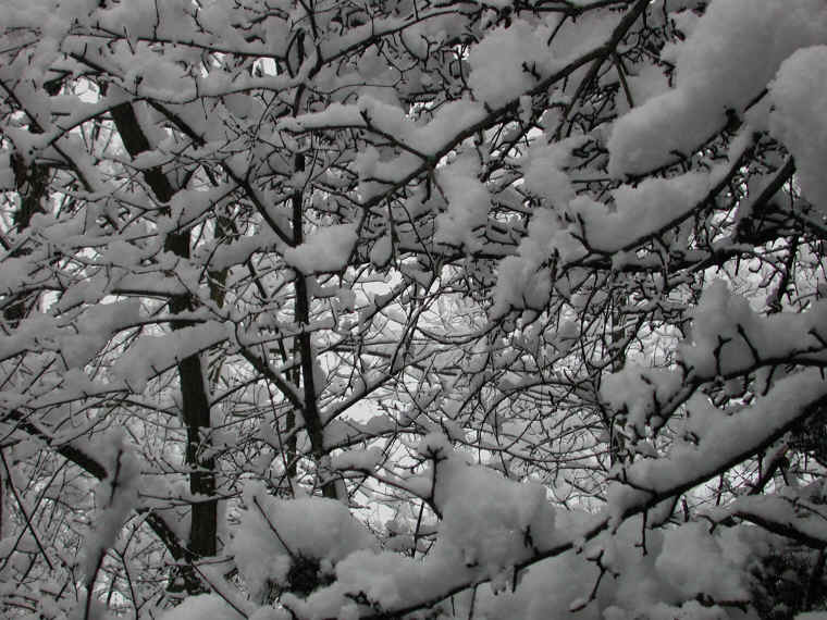 wi-snow-20071231-32