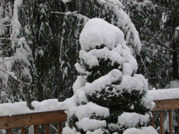 wi-snow-20071231-33