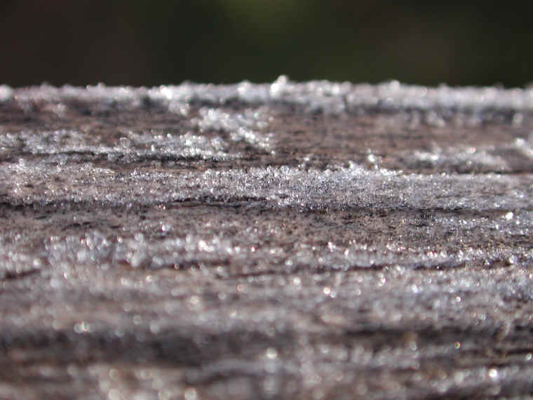 wi-ww2008-9-frost-20081206-01