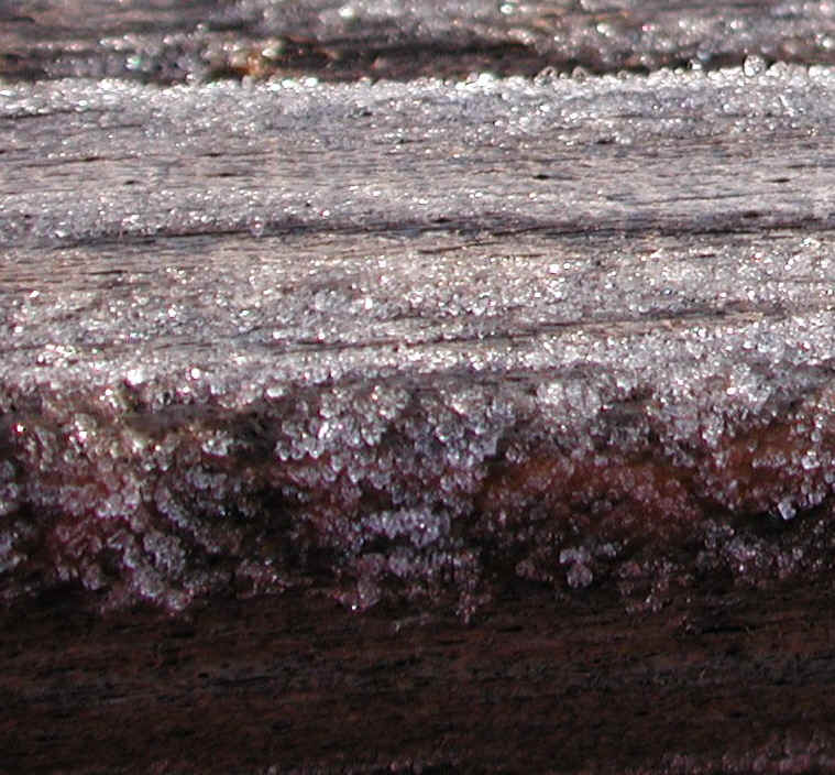 wi-ww2008-9-frost-20081206-02a