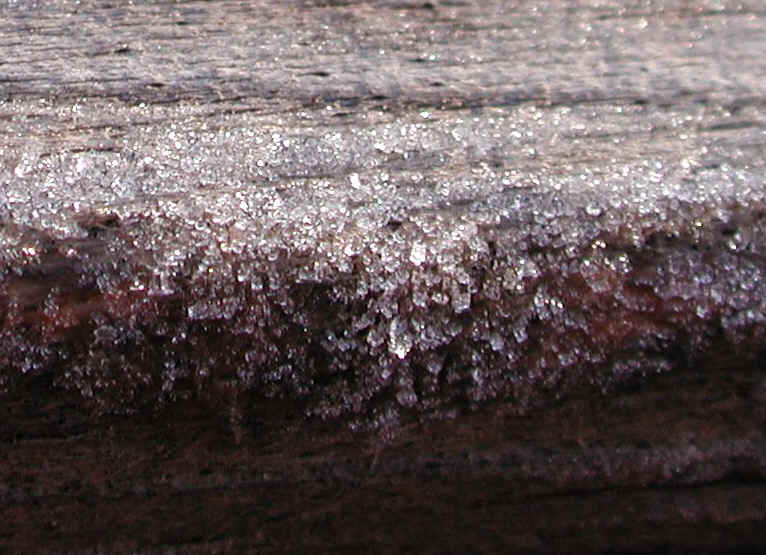 wi-ww2008-9-frost-20081206-02b