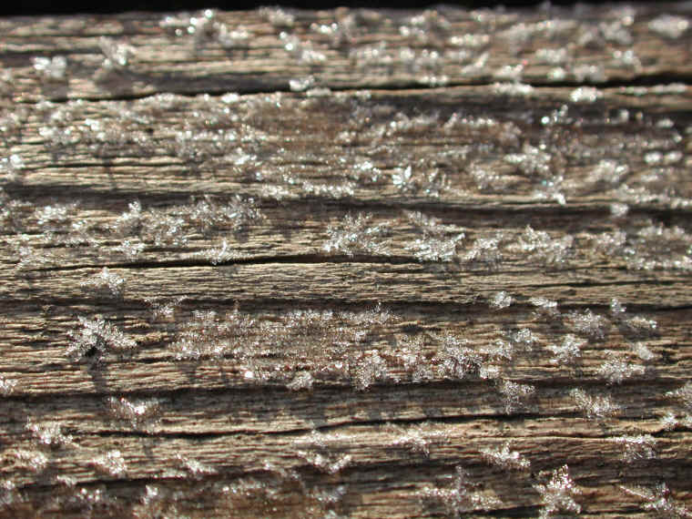 wi-ww2008-9-frost-20081206-05