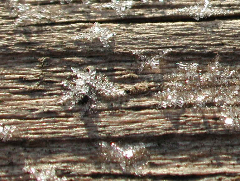 wi-ww2008-9-frost-20081206-05a