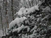 wi-ww2008-9-snow-20081221-01
