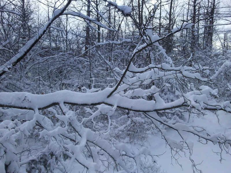 Winter Wonderland 2019-2020 - 019