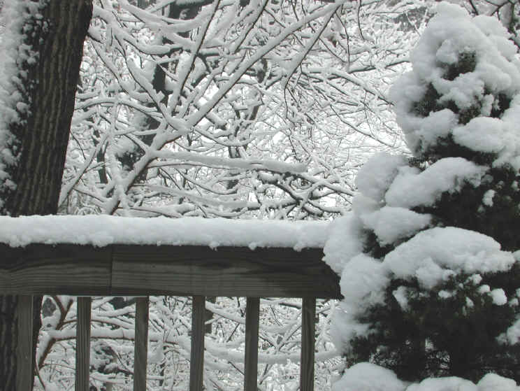 Winter Wonderland 9-10 March 2001 - Look Out Our Kitchen Door