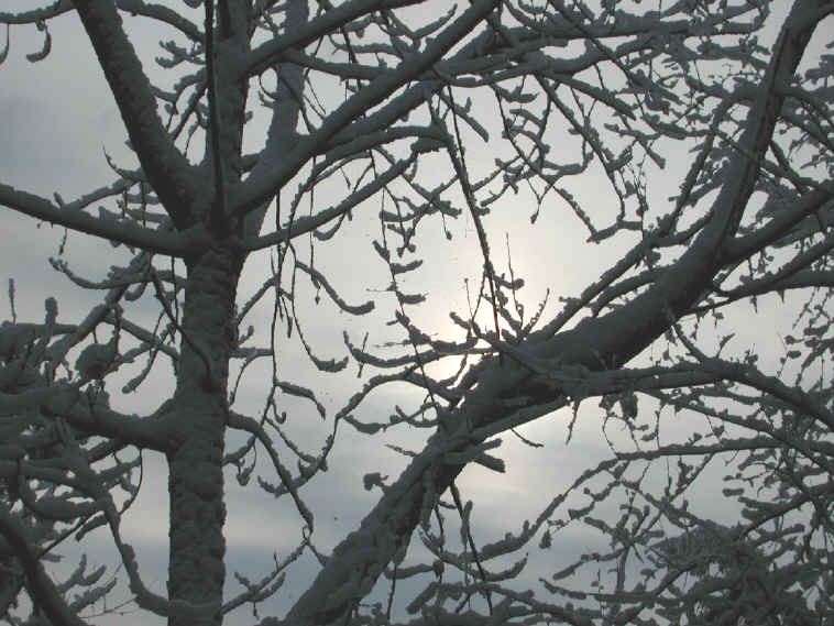 Winter Wonderland 9-10 March 2001 - The Morning After