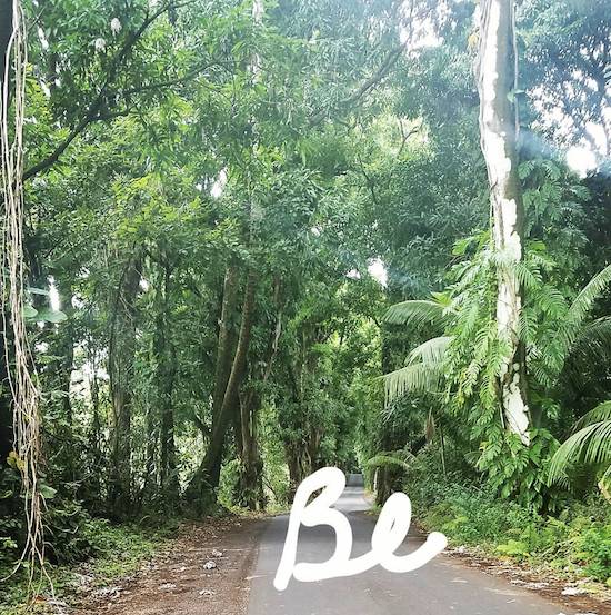 Beautiful Hawaii