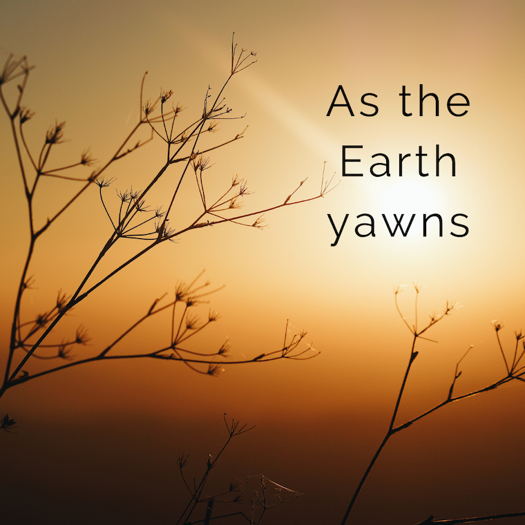 title, branches, and sunrise