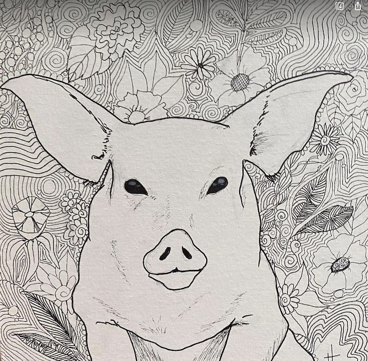 Pig art