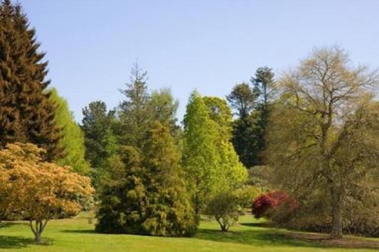 park