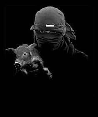 ALF rescues piglet