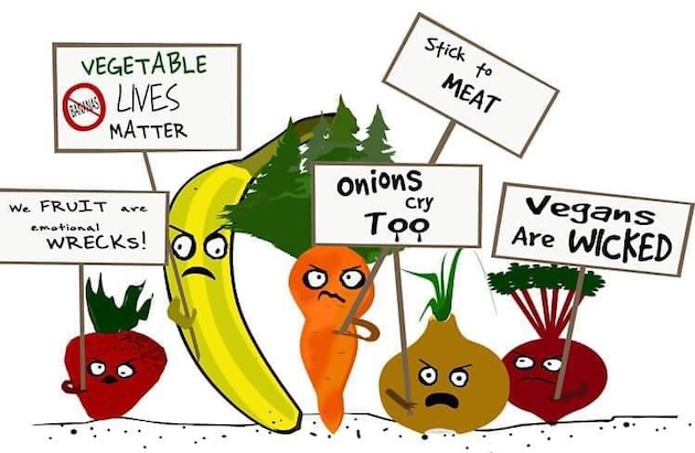 angry vegetables