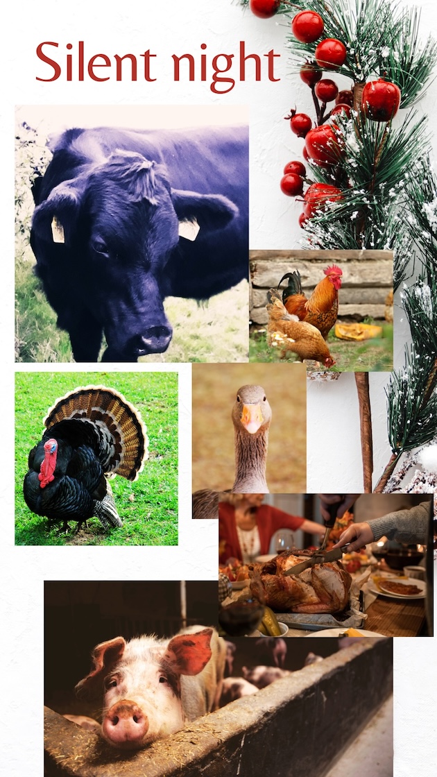 Christmas animal meals