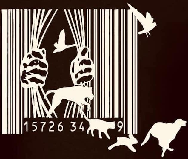 bar codes for animals
